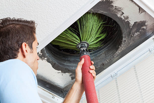 Best Air Vent Cleaning Services  in Roaming Shores, OH